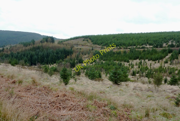 Photo 6"x4" Forestry land across Cwm Nant y Helm, Ceredigion Bryn Mawr\/SN7953 c2011
