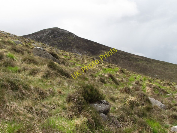 Photo 6"x4" The Ulsterway on the slopes of Slievenamiskan with Cock Mountain in the background Hilltown\/J2128 c2011