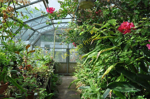 Photo 6"x4" Belgrave Hall - Greenhouse Belgrave\/SK5906 c2011