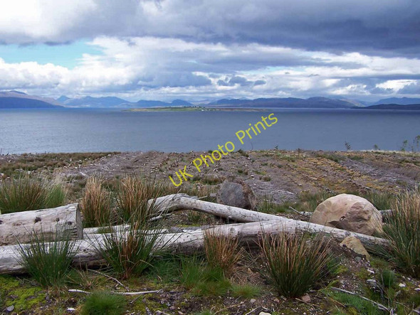 Photo 6"x4" Forest clearfell Corry\/NG6424 c2011