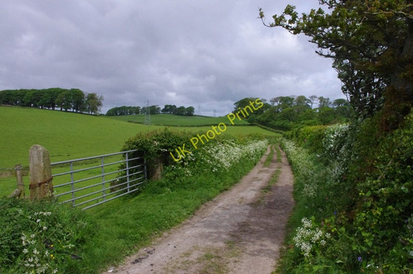 Photo 6"x4" Green Lane Skerton c2011