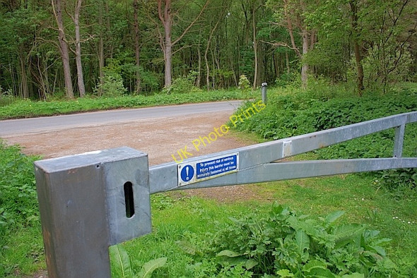 Photo 6"x4" Forest Track Entrance Silpho c2011