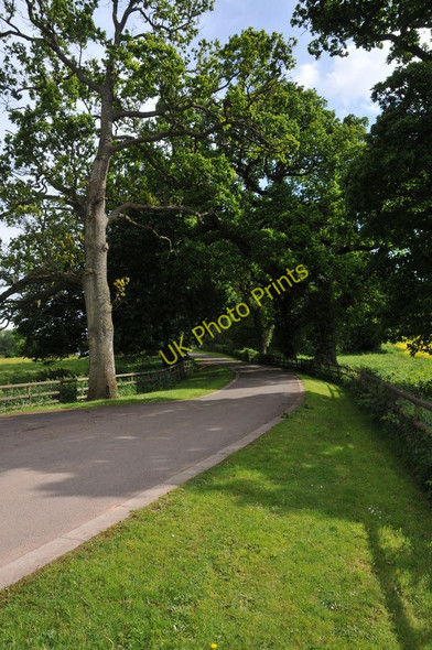 Photo 6"x4" Private road to Cefn Mably Began c2011