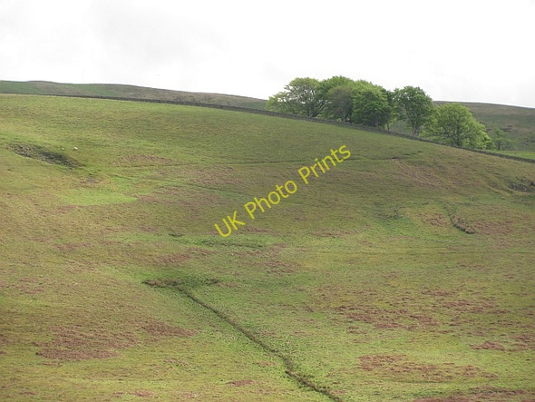 Photo 6"x4" Wood Hill Bordlands c2011