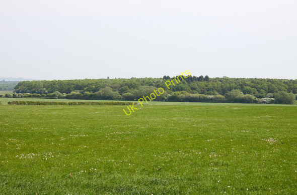 Photo 6"x4" Looking over a field towards Bernwood Forest Forest Hill\/SP5807 c2011