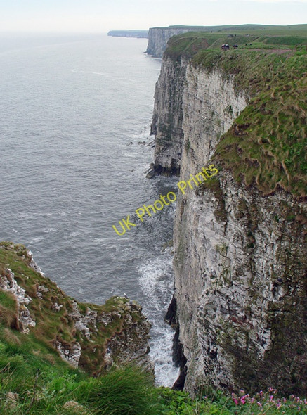 Photo 6"x4" Bempton Cliffs Bempton c2005