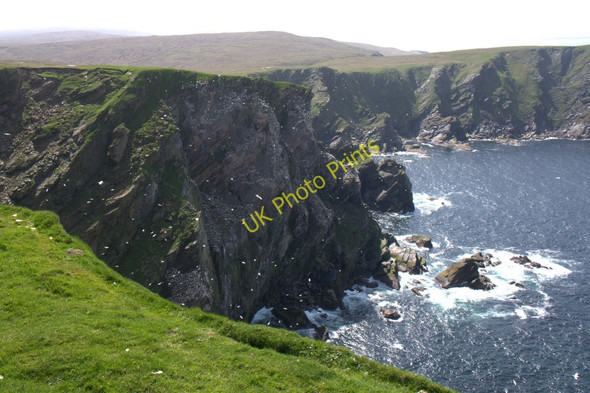 Photo 6"x4" Saito from the Neap, Hermaness Burrafirth c2011