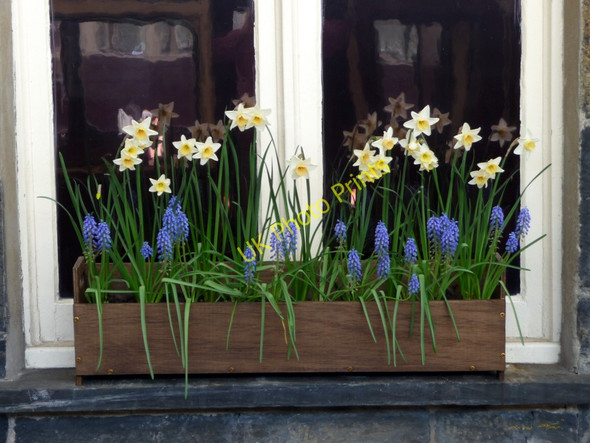 Photo 6"x4" Floral Display, Porthmadog Station, Gwynedd Porthmadog c2011