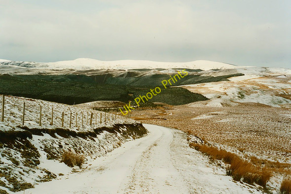 Photo 6"x4" Track past Pen y Garn Cwmystwyth c1993