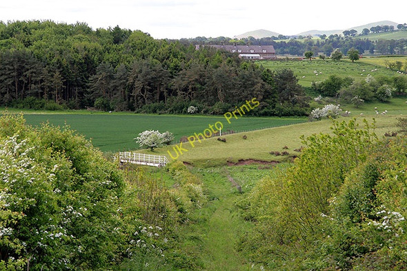 Photo 6"x4" A permissive path at New Bewick New Bewick c2011