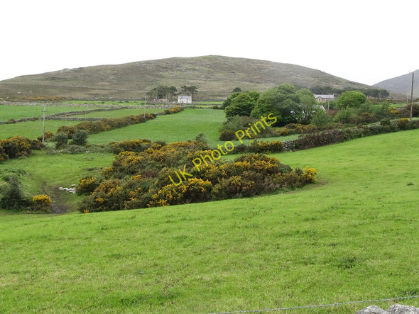 Photo 6"x4" Intake land between the Head Road and the moorlands Attical c2011