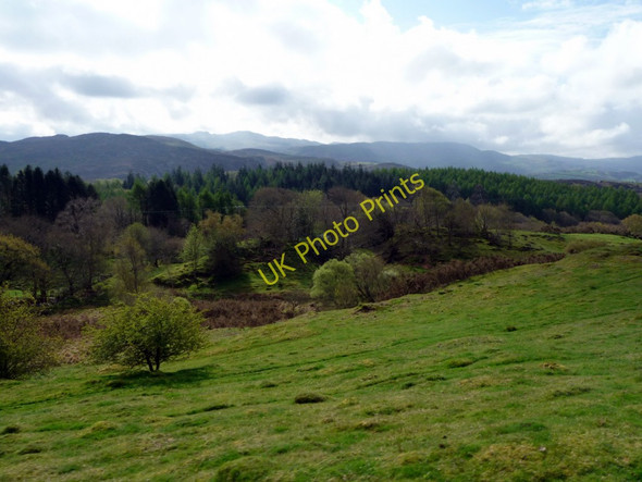 Photo 6"x4" Countryside viewed from Ffestiniog Railway Llanfrothen c2011