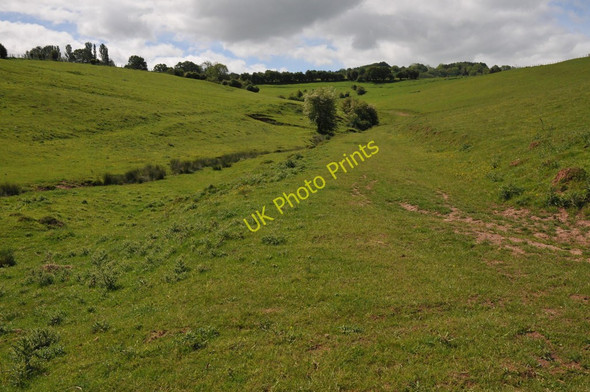 Photo 6"x4" Field near Mitchel Troy Monmouth\/Trefynwy c2011