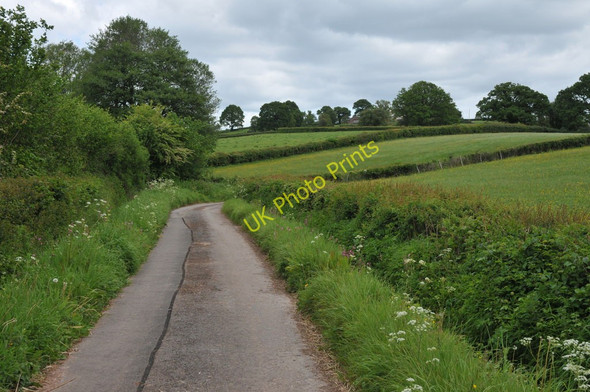Photo 6"x4" Road to Llansoy Llansoy c2011