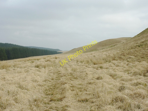 Photo 6"x4" Moorland north of Blaendoethie, Ceredigion Ochr Fawr c2011
