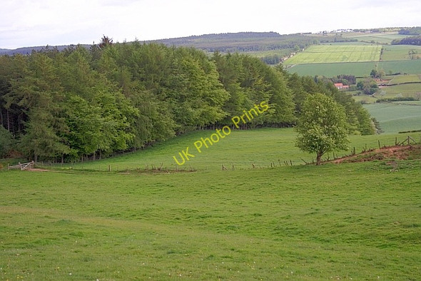 Photo 6"x4" Fields Below Surgate Brow Harwood Dale c2011