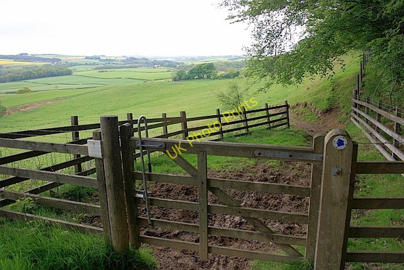 Photo 6"x4" Public Bridleway, Surgate Brow Harwood Dale c2011