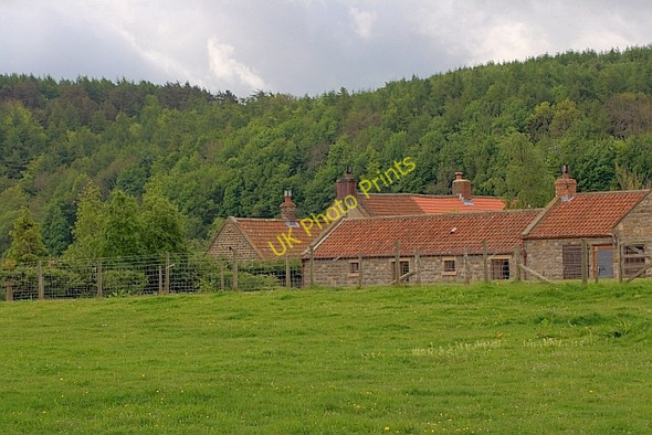 Photo 6"x4" Silpho Brow Farm Cloughton c2011