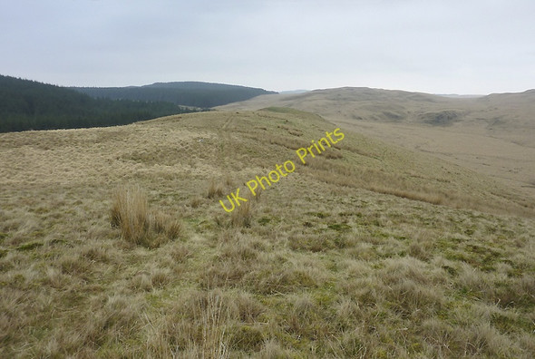 Photo 6"x4" Esgair Wynt, Ceredigion Ochr Fawr c2011