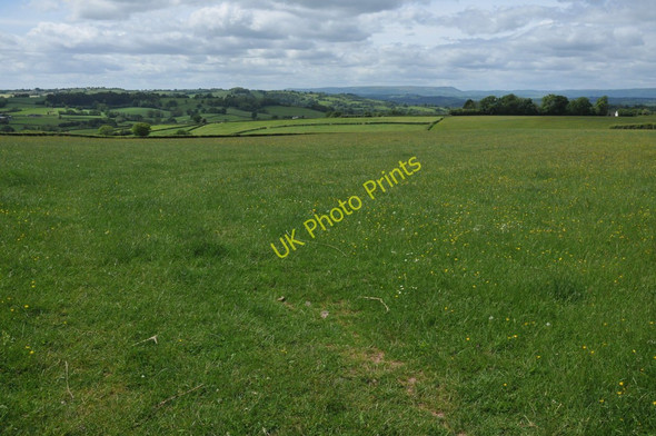 Photo 6"x4" Farmland at Llansoy Llansoy c2011