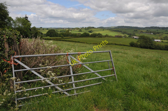 Photo 6"x4" View to Llansoy Llangwm\/SO4200 c2011
