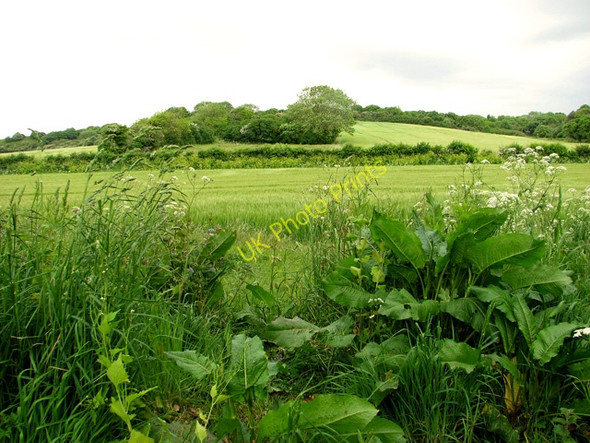 Photo 6"x4" Fields below Muckleburgh Hill, Kelling Kelling c2011