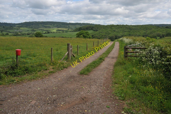 Photo 6"x4" Field access, Wolvesnewton Wolvesnewton c2011