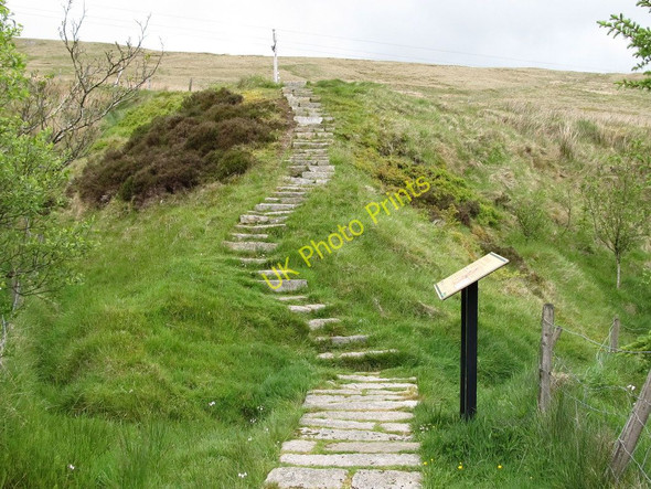 Photo 6"x4" Steps leading from the Ott Quarry to the lower slopes of Slievenamuck Kilcoo c2011