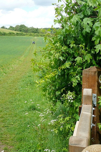 Photo 6"x4" Footpath towards Turville Skirmett c2011