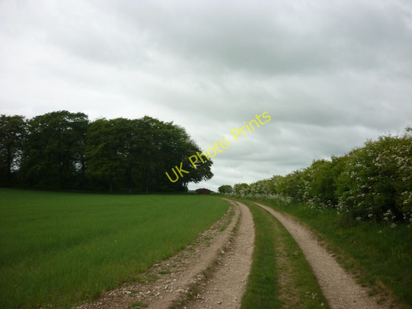 Photo 6"x4" A farm track on the Sledmere estate Kirby Grindalythe c2011