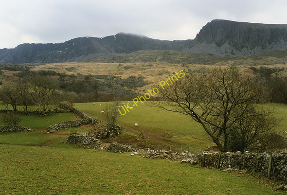 Photo 6"x4" Fields west of Tyddyn-mawr farm Penmaenpool c1993
