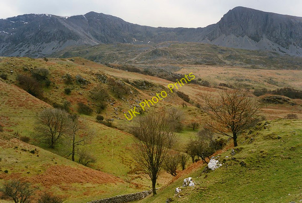 Photo 6"x4" View towards Cadair Idris from the Foxes' Path Dolgellau c1993