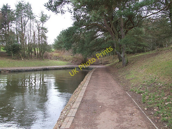Photo 6"x4" Lanark Loch - Corner Hidden Behind The Trees Lanark c2008