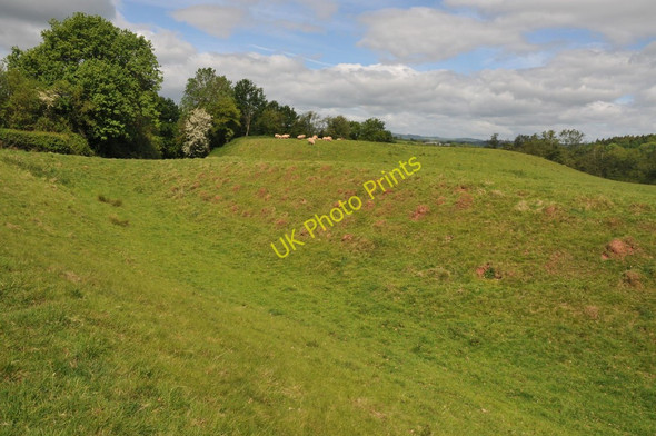 Photo 6"x4" Site of Dingestow Castle Dingestow c2011