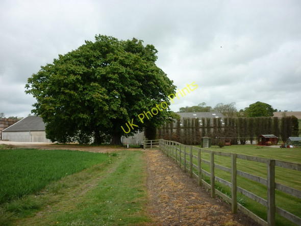 Photo 6"x4" Low Mowthorpe Farm, near Duggleby Kirby Grindalythe c2011