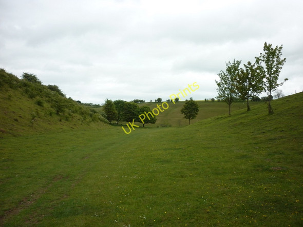 Photo 6"x4" Wan Dale Fimber c2011