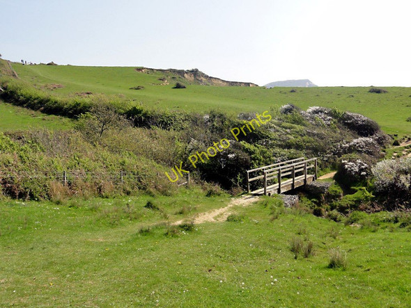 Photo 6"x4" Footbridge on the Coast Path Catherston Leweston c2011