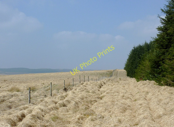 Photo 6"x4" Moorland and forest north-west of Soar-y-Mynydd, Ceredigion Camddwr\/SN7754 c2011