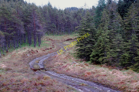 Photo 6"x4" Forest track, Attadale Strathan\/NG9338 c2011
