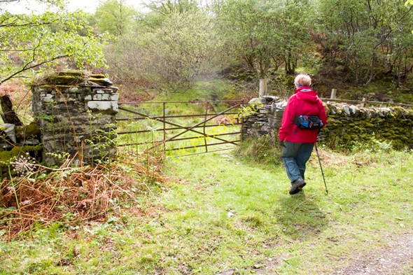 Photo 6"x4" Footpath leaving Colonsay House grounds Kiloran\/NR3996 c2011