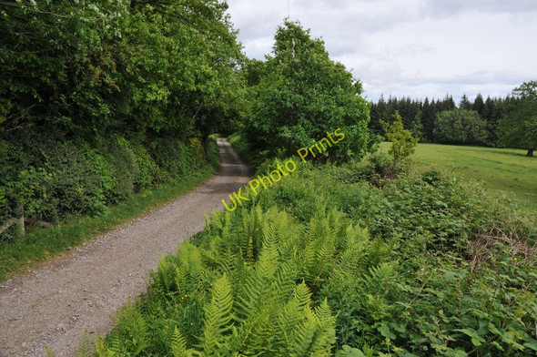 Photo 6"x4" Track near Ruperra Castle Draethen c2011