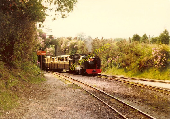 Photo 6"x4" Vale of Rheidol train enters Devil's Bridge station Devil's Bridge\/Pontarfynach c1983