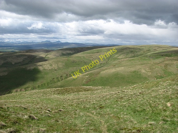 Photo 6"x4" Sheepwalk west of Colsnaur Hill Menstrie c2011