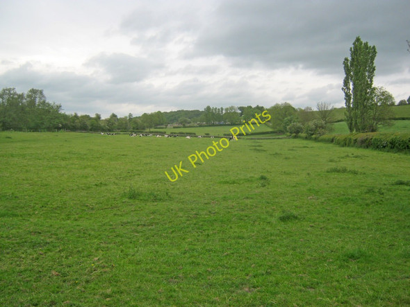Photo 6"x4" Amber Valley Grassland Wingfield Park\/SK3753 c2011
