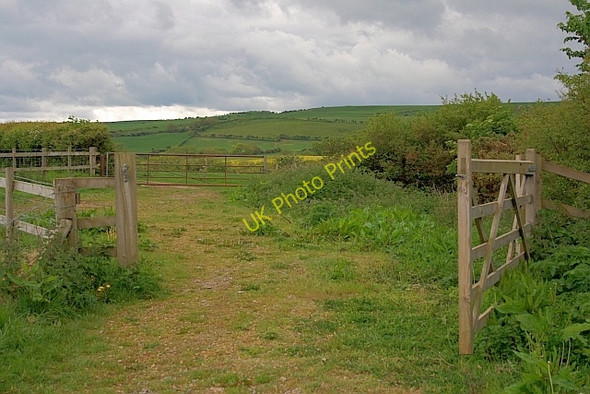 Photo 6"x4" Public Footpath on The Dales Hinderwell c2011