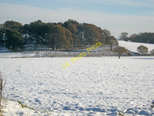 Photo 6"x4" Farmland near Weaver's Lane Newstead\/SK5152 c2010