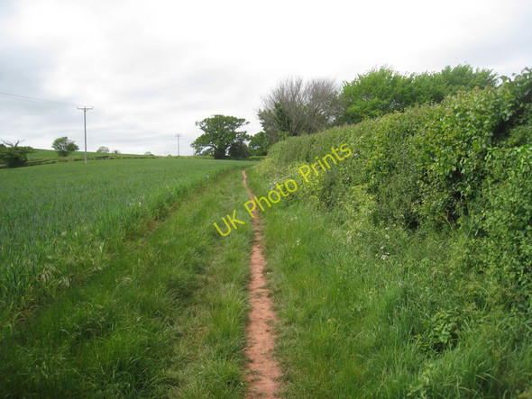 Photo 6"x4" The footpath to Kenton South Town\/SX9683 c2011