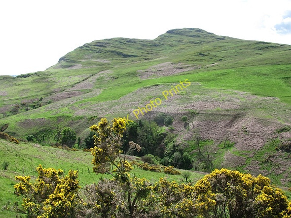 Photo 6"x4" North side of Dumyat Blairlogie c2011