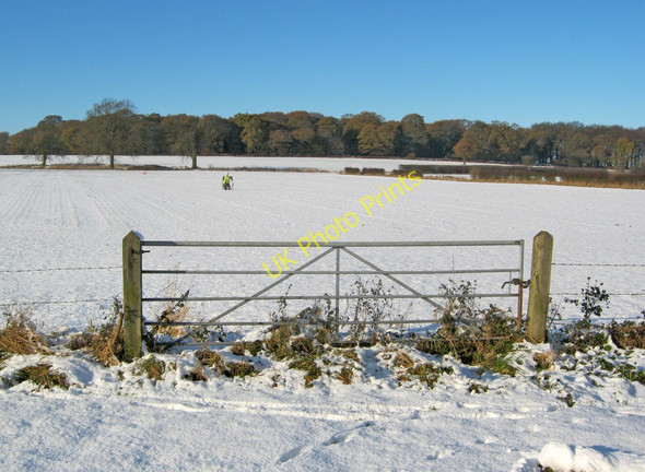 Photo 6"x4" Snow-covered fields near America Farm Annesley Woodhouse c2010