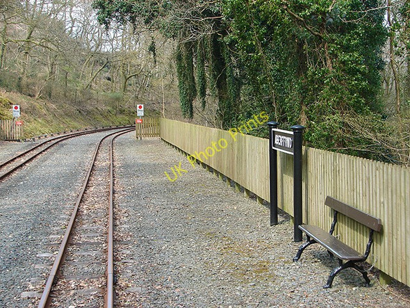 Photo 6"x4" Aberffrwd station, Vale of Rheidol Railway Aberffrwd\/SN6878 c2008